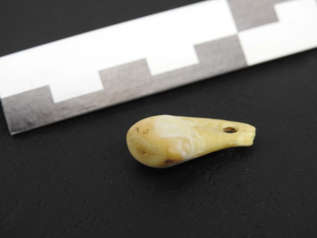 ARCHAEONEWS / Scientists recover an ancient woman’s DNA from a 20,000-year-old pendant
