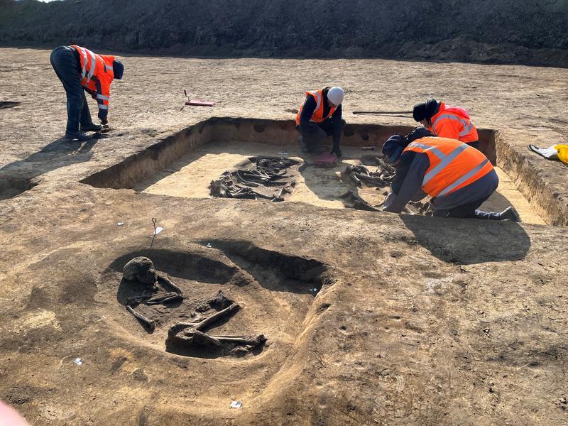 Archeologia / Due tumuli funerari, sepolture di bovini e un uomo a condurre il “carro” (o l’aratro): dagli scavi in Magdeburgo nuova luce sul Neolitico
